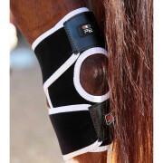 Rodilleras magnéticas para caballos Premier Equine Magni-Teque
