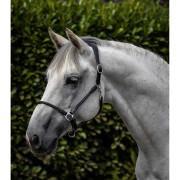 Cabezada Cuadra anatómico de cuero enrollado para caballos Premier Equine Hennaroso