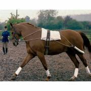 Riendas elásticas de ejercicio para caballos Tattini